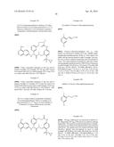 MACROCYCLIC FACTOR VIIA INHIBITORS diagram and image