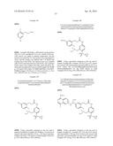 MACROCYCLIC FACTOR VIIA INHIBITORS diagram and image