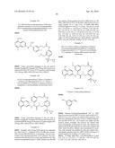 MACROCYCLIC FACTOR VIIA INHIBITORS diagram and image