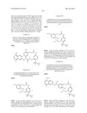 MACROCYCLIC FACTOR VIIA INHIBITORS diagram and image