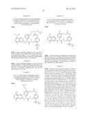 MACROCYCLIC FACTOR VIIA INHIBITORS diagram and image