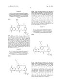 MACROCYCLIC FACTOR VIIA INHIBITORS diagram and image