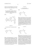 MACROCYCLIC FACTOR VIIA INHIBITORS diagram and image