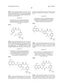 MACROCYCLIC FACTOR VIIA INHIBITORS diagram and image