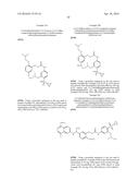 MACROCYCLIC FACTOR VIIA INHIBITORS diagram and image