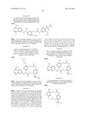 MACROCYCLIC FACTOR VIIA INHIBITORS diagram and image