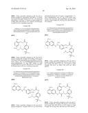 MACROCYCLIC FACTOR VIIA INHIBITORS diagram and image