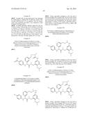 MACROCYCLIC FACTOR VIIA INHIBITORS diagram and image