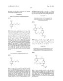 MACROCYCLIC FACTOR VIIA INHIBITORS diagram and image