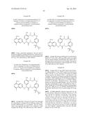 MACROCYCLIC FACTOR VIIA INHIBITORS diagram and image