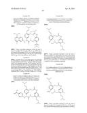 MACROCYCLIC FACTOR VIIA INHIBITORS diagram and image