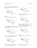 NOVEL alpha-GALACTOSYL CERAMIDE ANALOGS AND USES THEREOF diagram and image