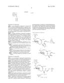 NOVEL alpha-GALACTOSYL CERAMIDE ANALOGS AND USES THEREOF diagram and image