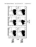 TUMOR-ASSOCIATED PEPTIDES BINDING PROMISCUOUSLY TO HUMAN LEUKOCYTE ANTIGEN     (HLA) CLASS II MOLECULES diagram and image