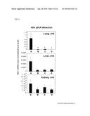 COMPOSITIONS AND METHODS FOR THE TREATMENT OF IMMUNODEFICIENCY diagram and image