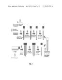 Hybridoma Clones, Monoclonal Antibodies, and Methods of Use diagram and image