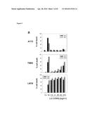 NEUTRALIZATION OF CD95 ACTIVITY BLOCKS INVASION OF GLIOBLASTOMA CELLS IN     VIVO diagram and image