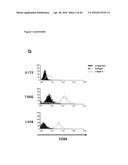 NEUTRALIZATION OF CD95 ACTIVITY BLOCKS INVASION OF GLIOBLASTOMA CELLS IN     VIVO diagram and image