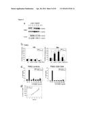 NEUTRALIZATION OF CD95 ACTIVITY BLOCKS INVASION OF GLIOBLASTOMA CELLS IN     VIVO diagram and image