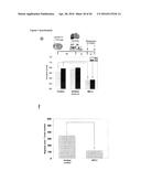 NEUTRALIZATION OF CD95 ACTIVITY BLOCKS INVASION OF GLIOBLASTOMA CELLS IN     VIVO diagram and image