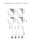 NEUTRALIZATION OF CD95 ACTIVITY BLOCKS INVASION OF GLIOBLASTOMA CELLS IN     VIVO diagram and image