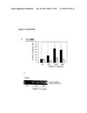 NEUTRALIZATION OF CD95 ACTIVITY BLOCKS INVASION OF GLIOBLASTOMA CELLS IN     VIVO diagram and image