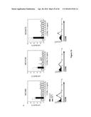 NEUTRALIZATION OF CD95 ACTIVITY BLOCKS INVASION OF GLIOBLASTOMA CELLS IN     VIVO diagram and image