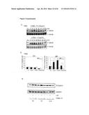 NEUTRALIZATION OF CD95 ACTIVITY BLOCKS INVASION OF GLIOBLASTOMA CELLS IN     VIVO diagram and image