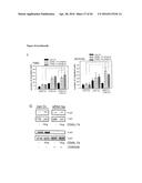 NEUTRALIZATION OF CD95 ACTIVITY BLOCKS INVASION OF GLIOBLASTOMA CELLS IN     VIVO diagram and image