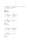 SINGLE DOMAIN ANTIBODIES DIRECTED AGAINST KRAS diagram and image