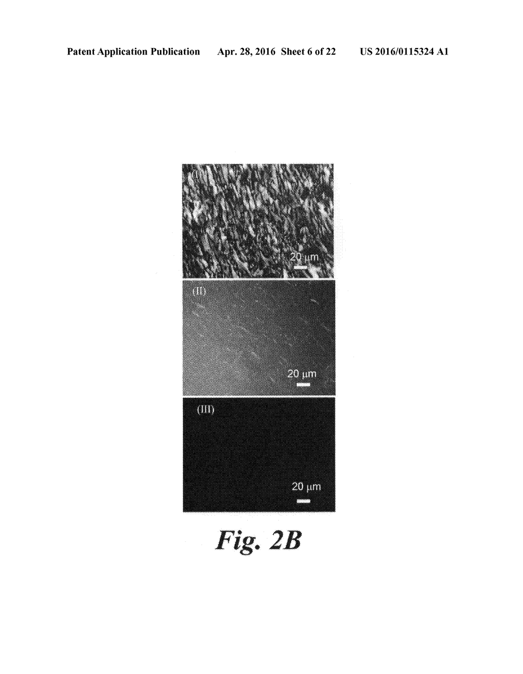 Coating compositions and coating products made therefrom - diagram, schematic, and image 07