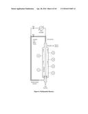 Organic Fuel and Waste Reformer diagram and image