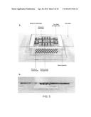 DIGITAL MICROFLUIDIC PLATFORM FOR CREATING, MAINTAINING AND ANALYZING     3-DIMENSIONAL CELL SPHEROIDS diagram and image