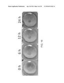 DIGITAL MICROFLUIDIC PLATFORM FOR CREATING, MAINTAINING AND ANALYZING     3-DIMENSIONAL CELL SPHEROIDS diagram and image