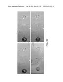 DIGITAL MICROFLUIDIC PLATFORM FOR CREATING, MAINTAINING AND ANALYZING     3-DIMENSIONAL CELL SPHEROIDS diagram and image