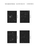 Microwave enhancement of Thermophiles diagram and image