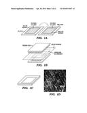 MULTI-LAYERED CELL CONSTRUCTS AND METHODS OF USE AND PRODUCTION USING     ENZYMATICALLY DEGRADABLE NATURAL POLYMERS diagram and image