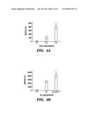 MULTI-LAYERED CELL CONSTRUCTS AND METHODS OF USE AND PRODUCTION USING     ENZYMATICALLY DEGRADABLE NATURAL POLYMERS diagram and image