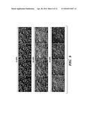 MULTI-LAYERED CELL CONSTRUCTS AND METHODS OF USE AND PRODUCTION USING     ENZYMATICALLY DEGRADABLE NATURAL POLYMERS diagram and image