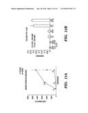 MULTI-LAYERED CELL CONSTRUCTS AND METHODS OF USE AND PRODUCTION USING     ENZYMATICALLY DEGRADABLE NATURAL POLYMERS diagram and image