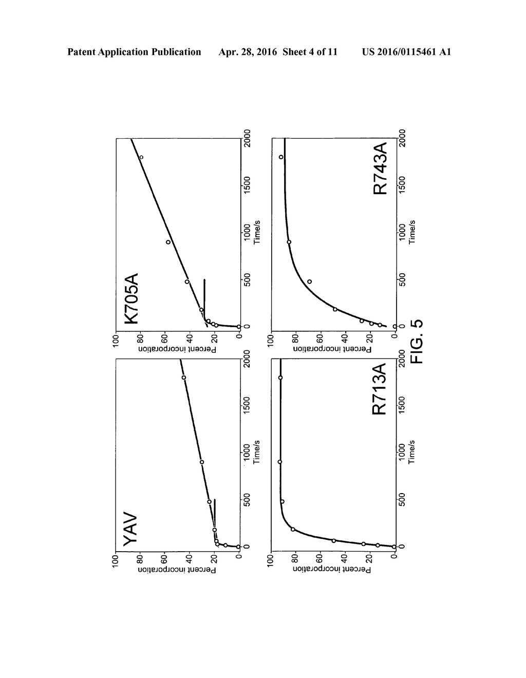 Polymerases - diagram, schematic, and image 05