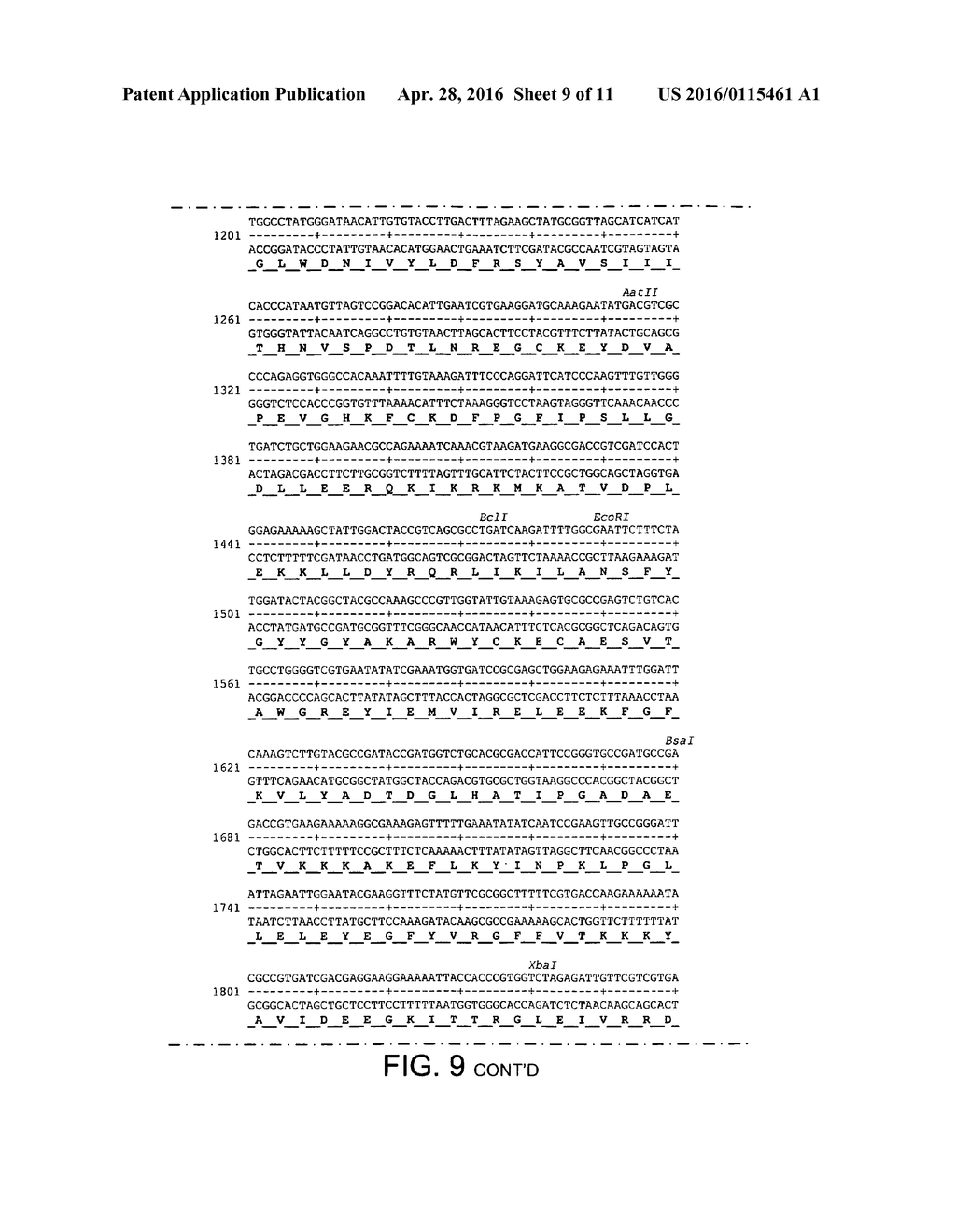 Polymerases - diagram, schematic, and image 10