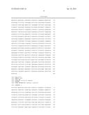 Codon Modified Amylase From Bacillus Akibai diagram and image