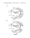 CARBOHYDRATE BINDING MODULES WITH REDUCED BINDING TO LIGNIN diagram and image