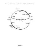 CARBOHYDRATE BINDING MODULES WITH REDUCED BINDING TO LIGNIN diagram and image