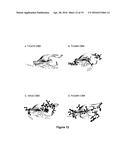 CARBOHYDRATE BINDING MODULES WITH REDUCED BINDING TO LIGNIN diagram and image