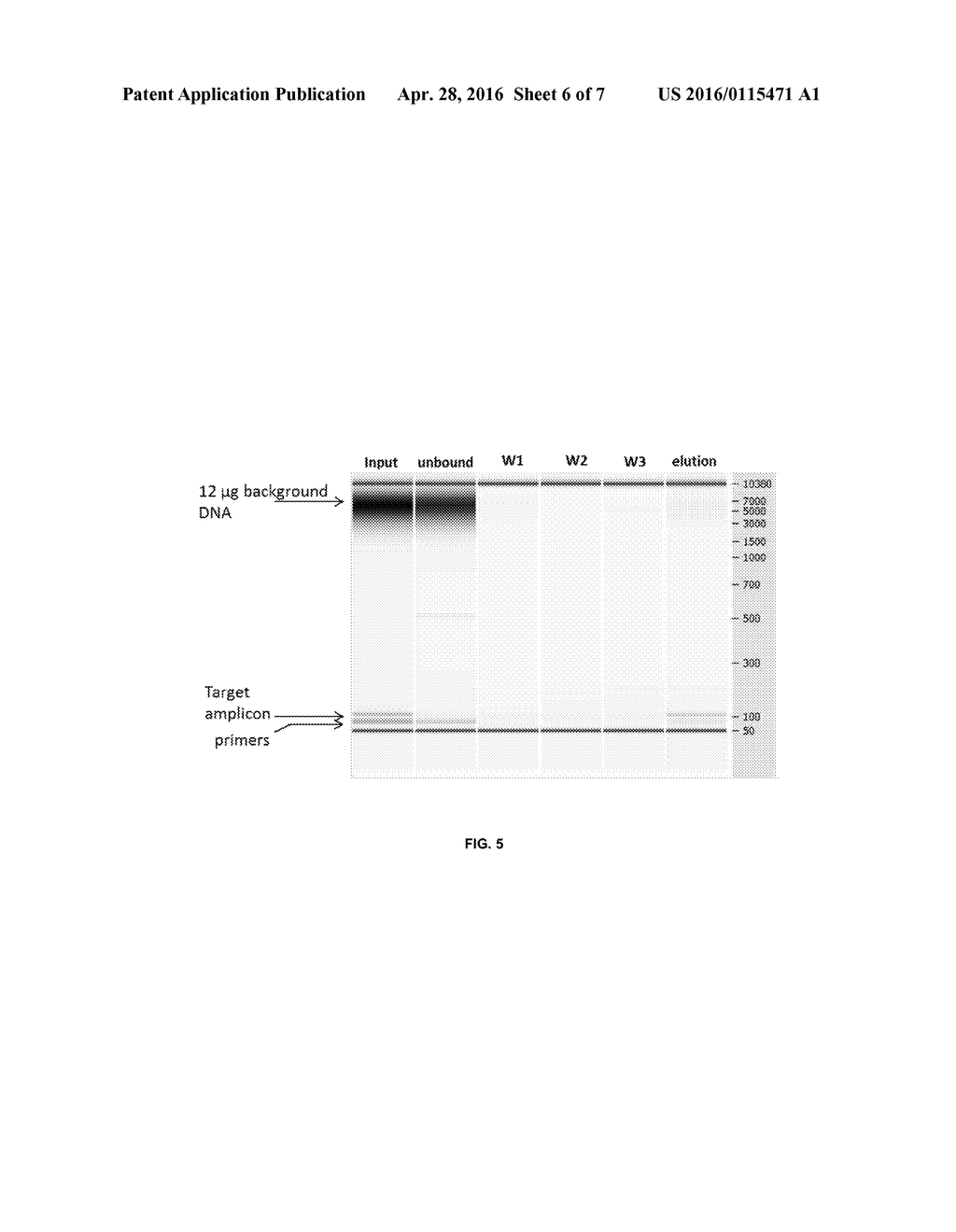 ENRICHMENT OF SMALL NUCLEIC ACIDS - diagram, schematic, and image 07