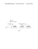 DERMATOLOGICAL, PHARMACEUTICAL COMPOSITION SUITABLE FOR OLIGONUCLEOTIDES diagram and image