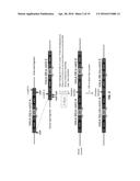 NUCLEASE-MEDIATED DNA  ASSEMBLY diagram and image