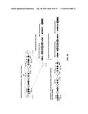 NUCLEASE-MEDIATED DNA  ASSEMBLY diagram and image